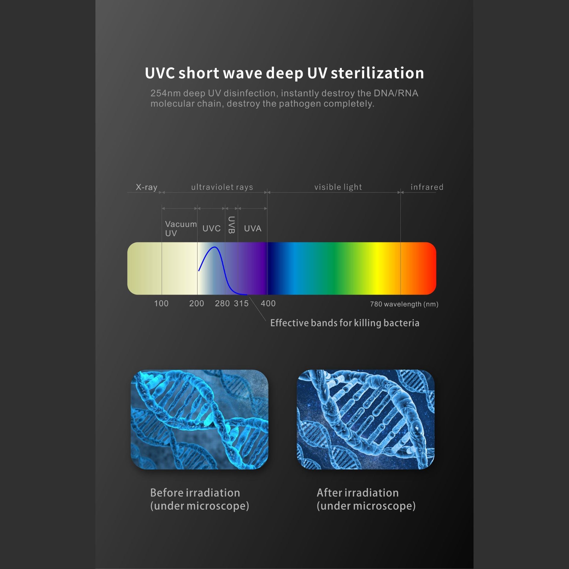 Suvaam Smart Tooth Brush UV Sterilizer Holder | Wall Mount